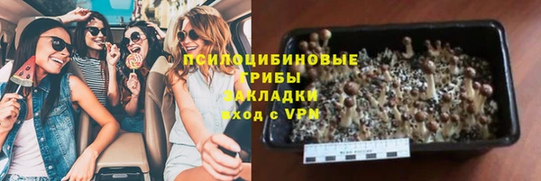 mdpv Осинники