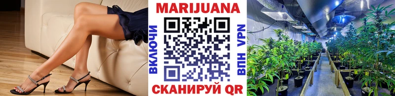 Купить закладки  Тбилисская  Бошки марихуана план 